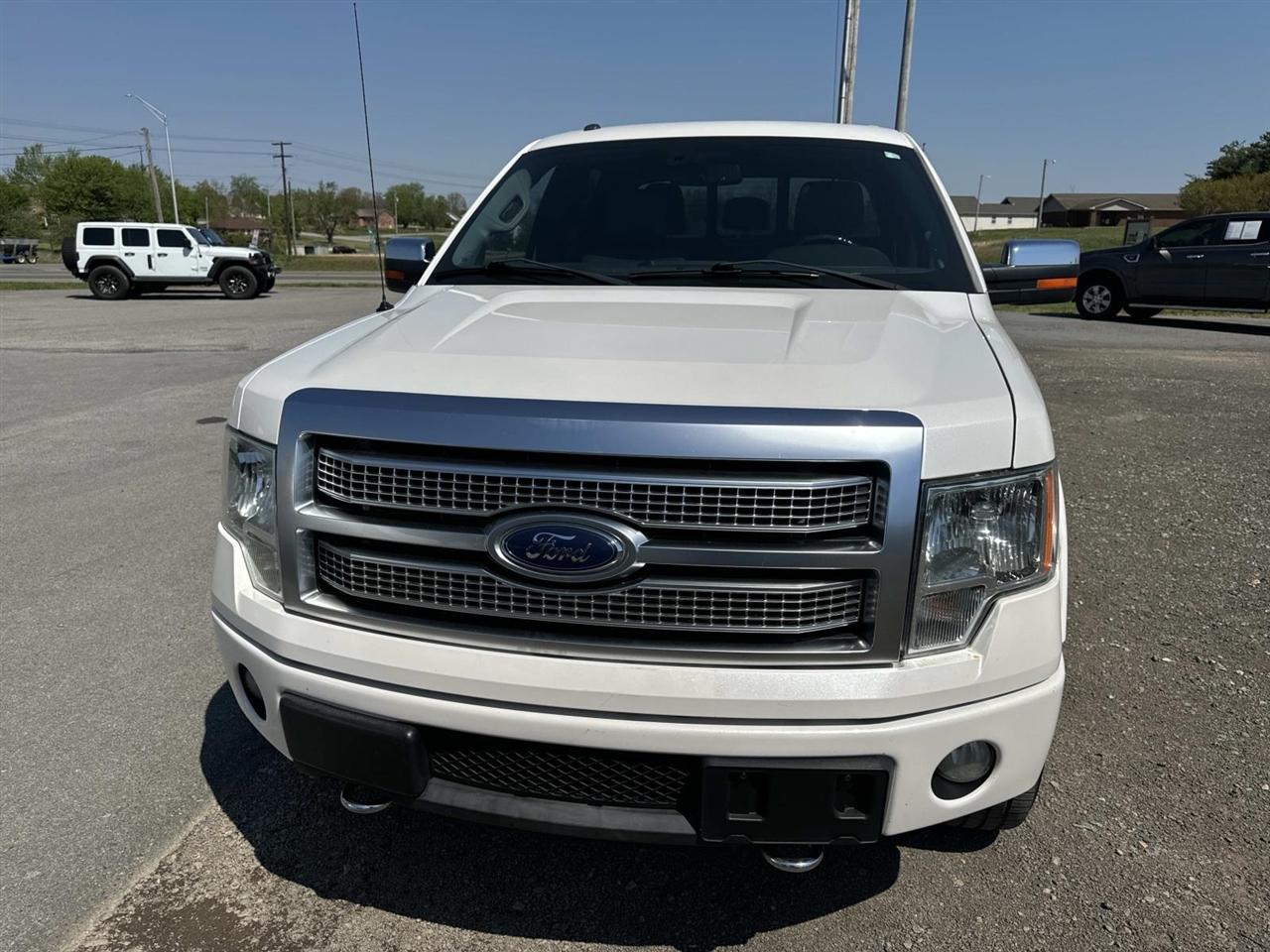 Ford F-150 4WD SuperCrew 145" Platinum 2012