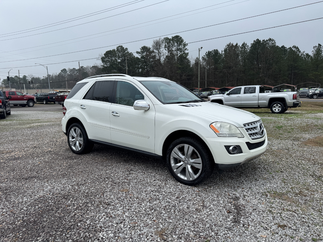 2010 Mercedes-Benz M-Class
