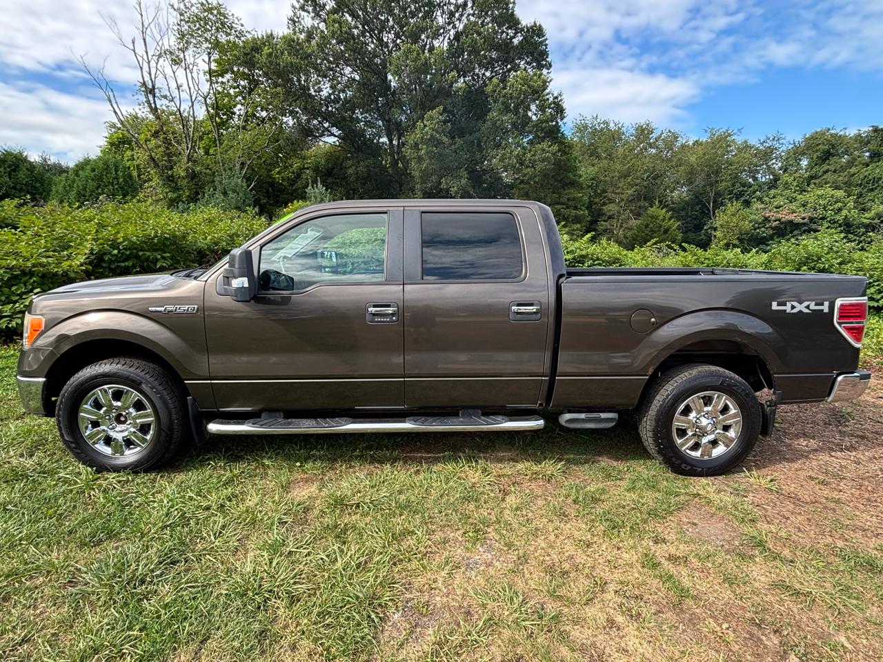 Ford F-150 XLT SuperCrew 4WD 2009