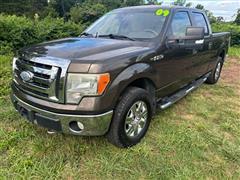 2009 Ford F-150 