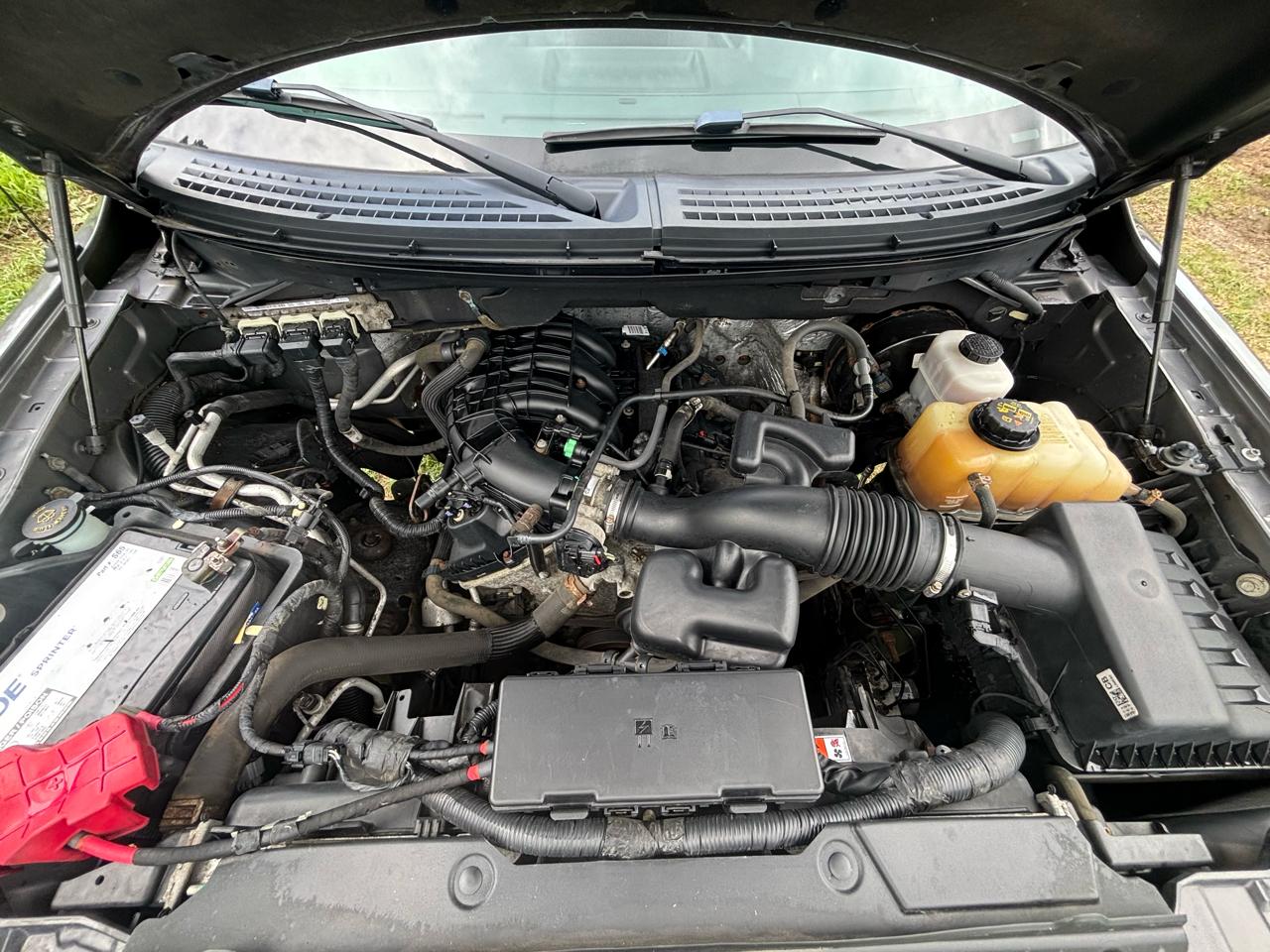 Ford F-150 XLT Reg. Cab Short Bed 2WD 2013