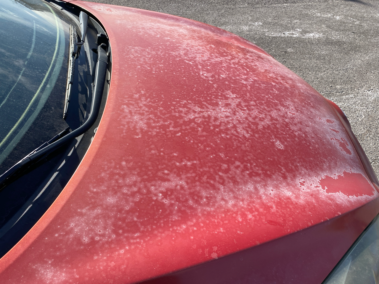 Mazda MAZDA3 s Grand Touring 4-Door 2010