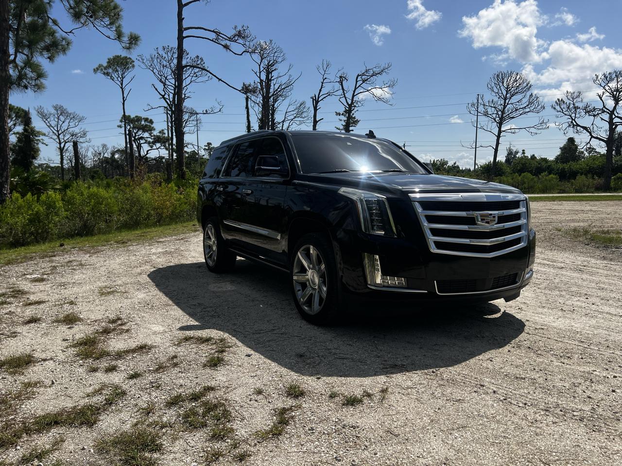 Cadillac Escalade Premium 2WD 2018