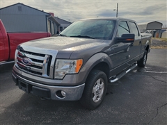 2010 Ford F-150 
