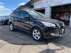 2014 Ford Escape  2014 Ford Escape