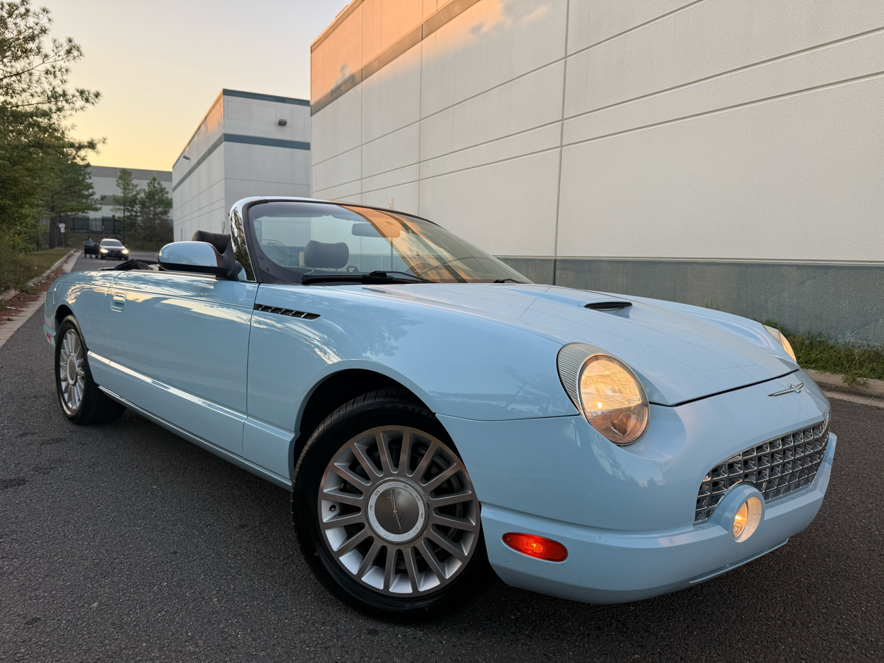 2004 Ford Thunderbird Premium photo 13