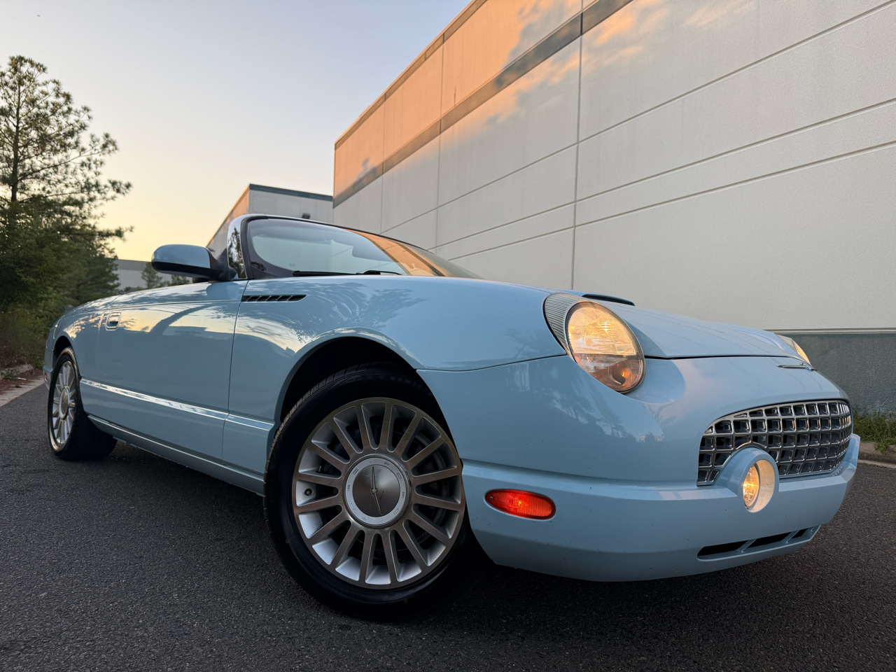 2004 Ford Thunderbird Premium photo 9