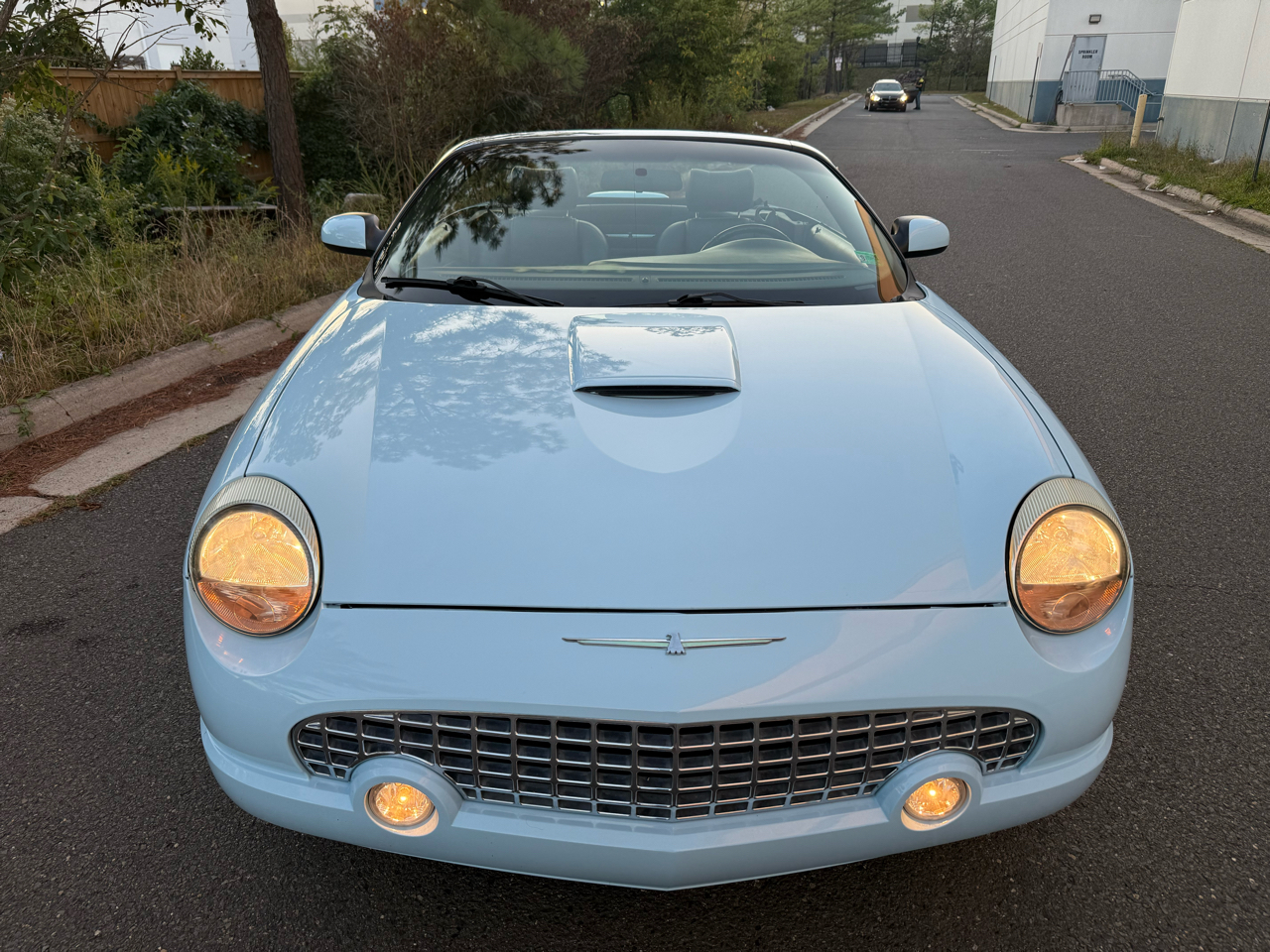 2004 Ford Thunderbird Premium photo 11