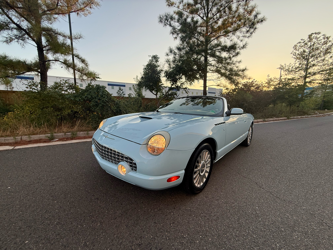 2004 Ford Thunderbird Premium photo 12