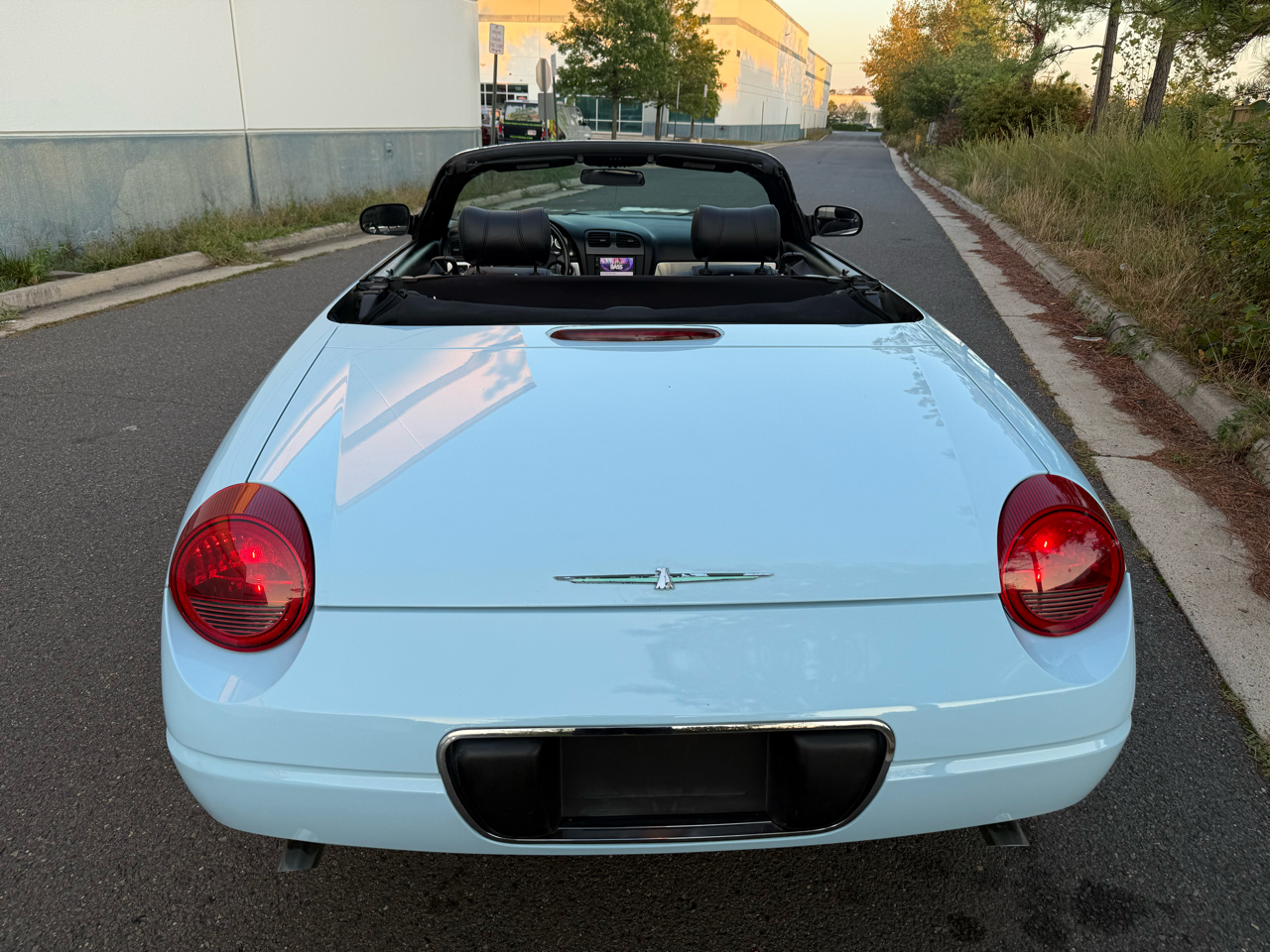 2004 Ford Thunderbird Premium photo 14