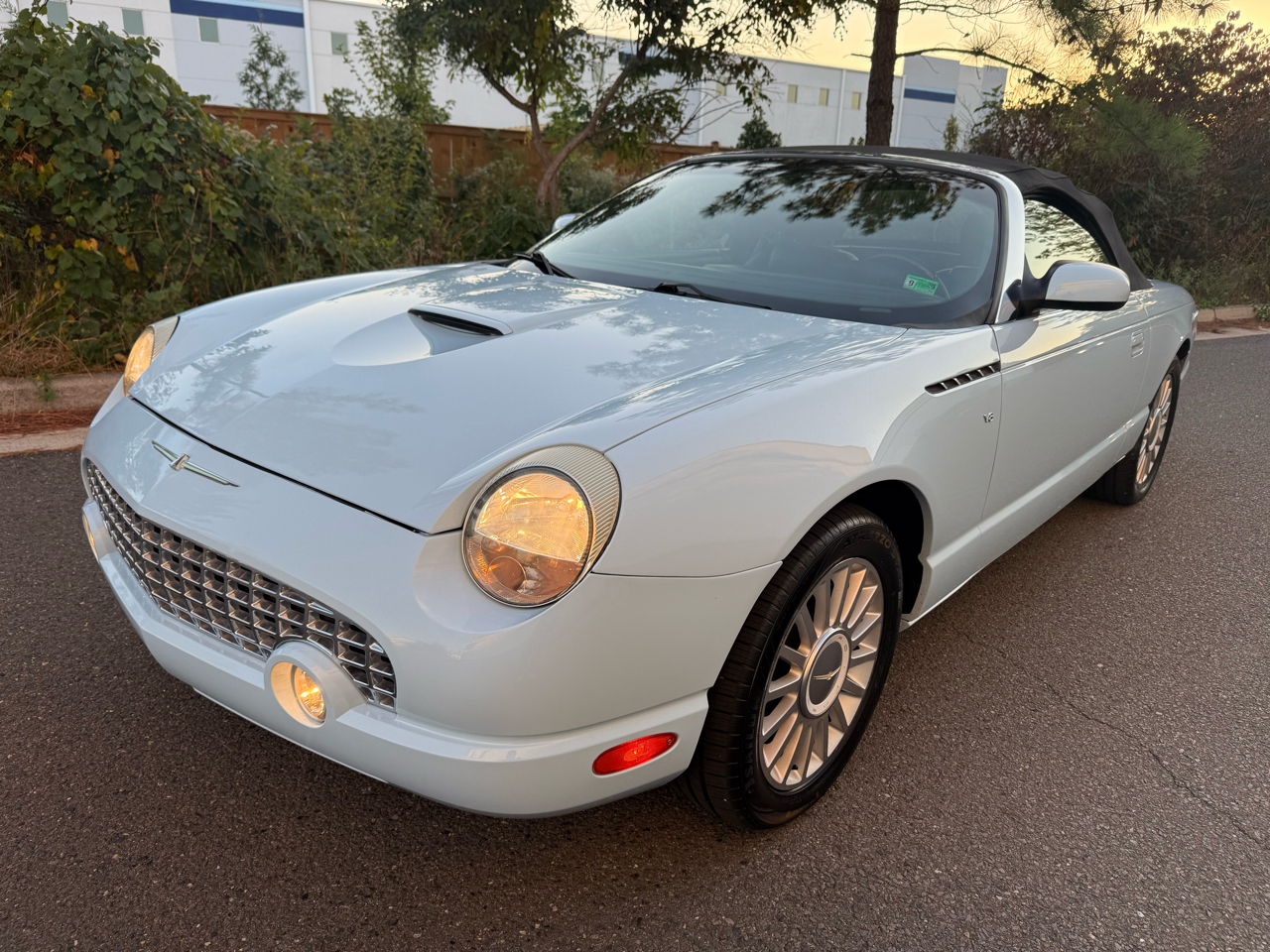 2004 Ford Thunderbird Premium photo 3
