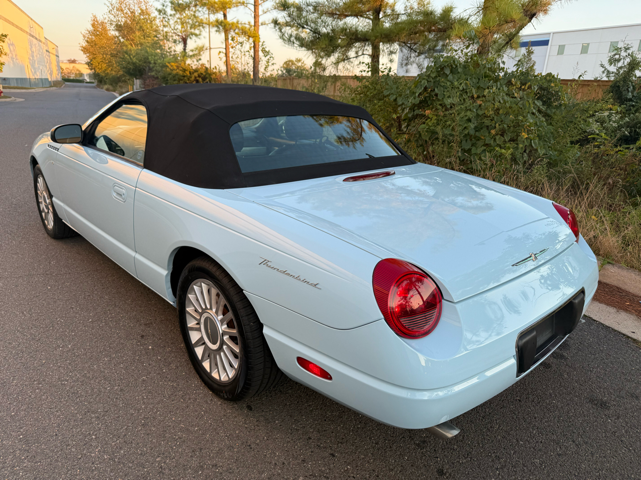 2004 Ford Thunderbird Premium photo 19