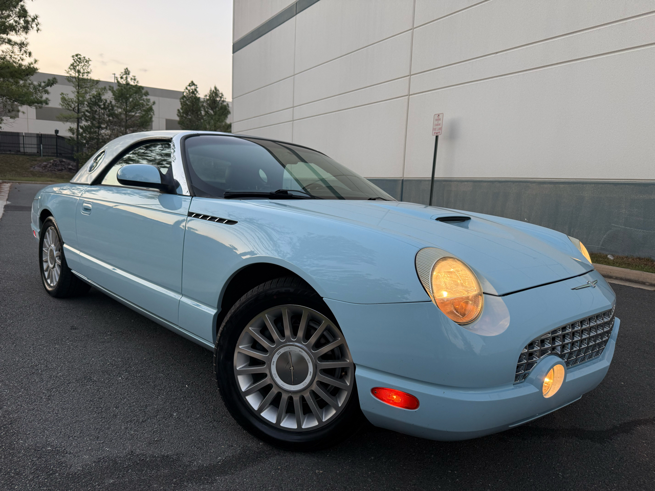 2004 Ford Thunderbird Premium photo 10