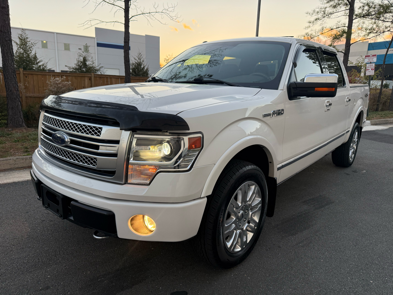 2014 Ford F-150 Platinum photo 2