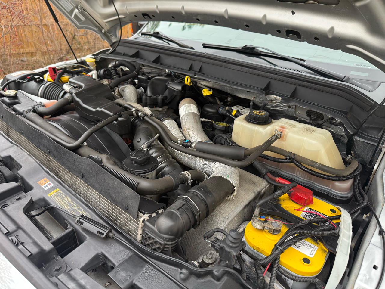 Ford Super Duty F-250 SRW 4WD Crew Cab 172" Platinum 2015