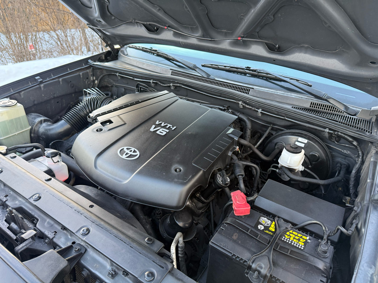 Toyota Tacoma 4WD Access V6 MT (Natl) 2010