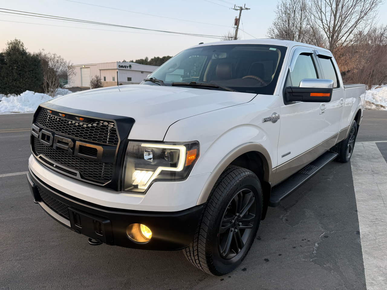 Ford F-150 4WD SuperCrew 145" Platinum 2011