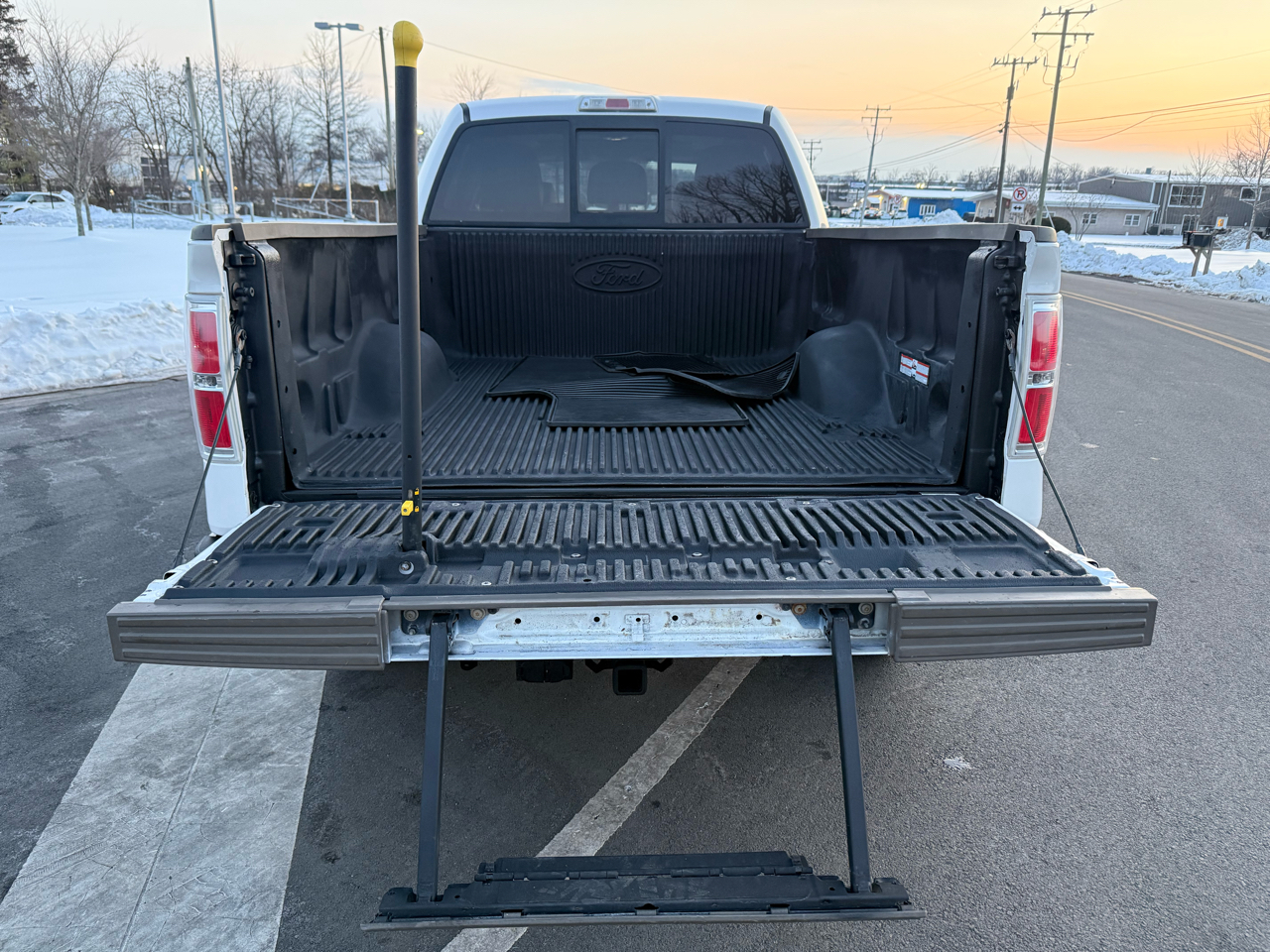 Ford F-150 4WD SuperCrew 145" Platinum 2011