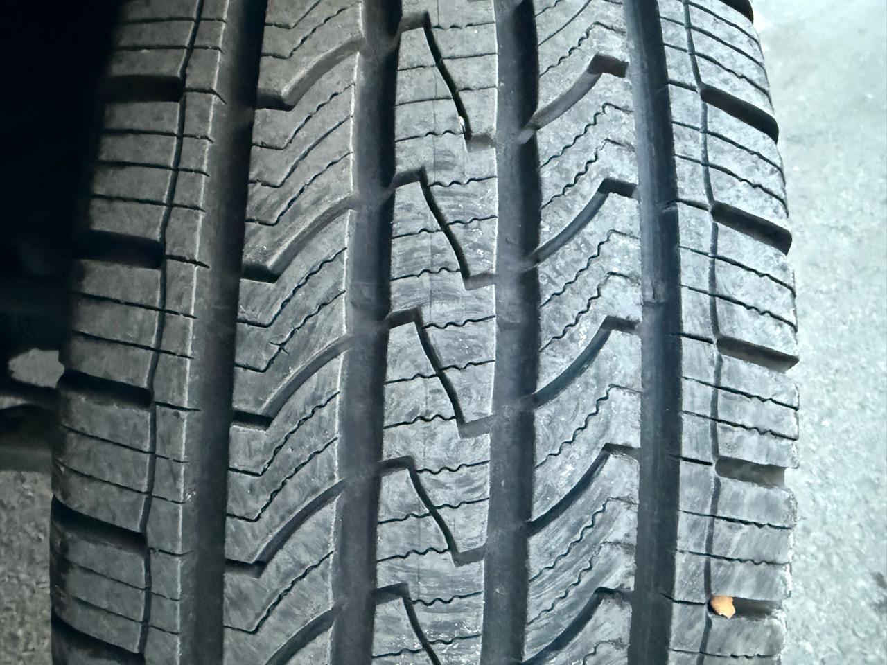 Toyota 4Runner 4WD 4dr V6 Trail Premium (Natl) 2015