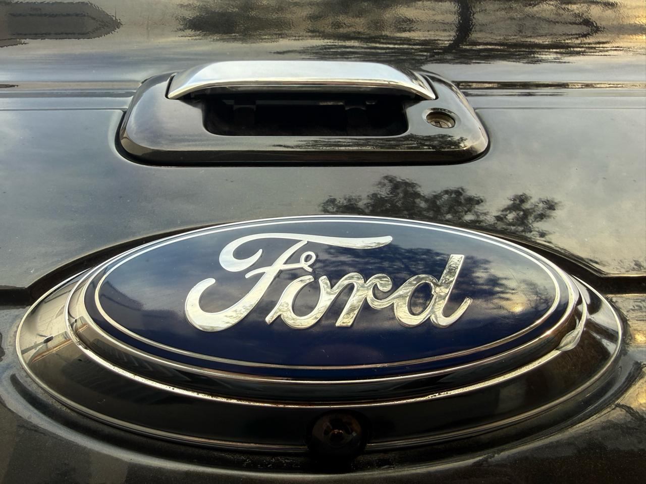 Ford F-150 4WD SuperCrew 145" Platinum 2012