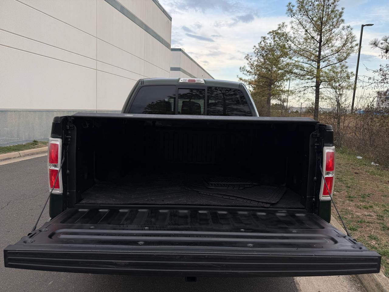 Ford F-150 4WD SuperCrew 145" Platinum 2012