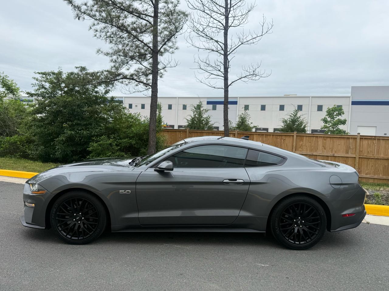 Ford Mustang GT Fastback 2022