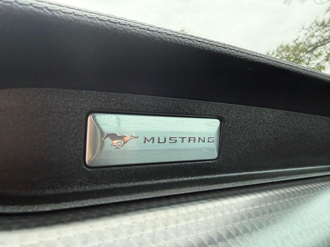 Ford Mustang GT Fastback 2022