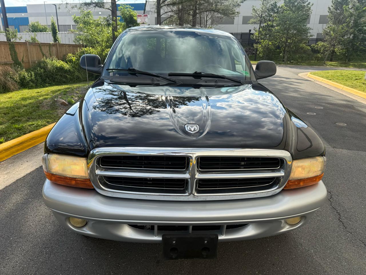 Dodge Dakota 4dr Quad Cab 131" WB 4WD SLT 2004