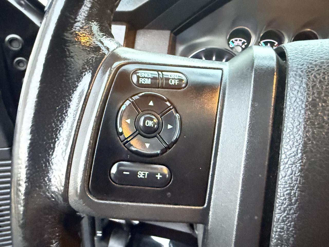 Ford Super Duty F-250 SRW 4WD Crew Cab 156" Platinum 2013