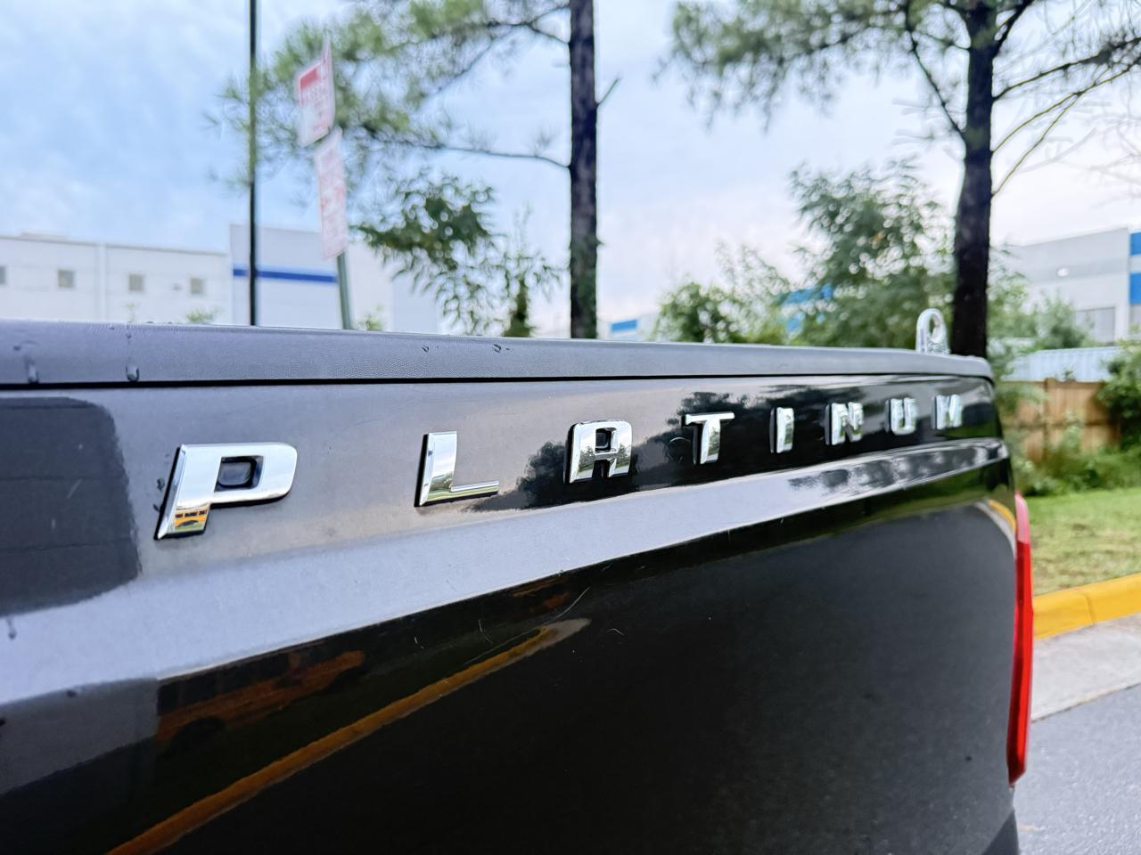 Ford Super Duty F-250 SRW 4WD Crew Cab 156" Platinum 2013