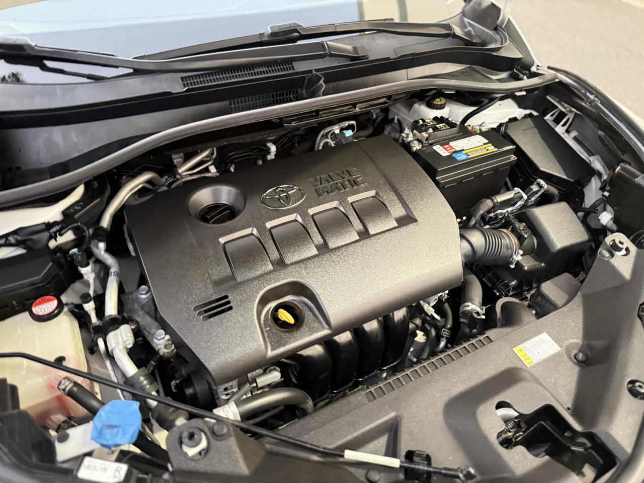 Toyota C-HR XLE FWD (Natl) 2018