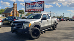 2010 Ford F-150  2010 Ford F-150