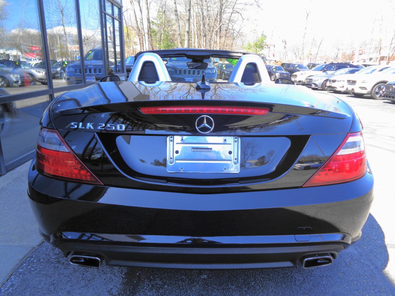Mercedes-Benz SLK-Class 2dr Roadster SLK 250 2013