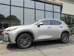 2024 Lexus NX 