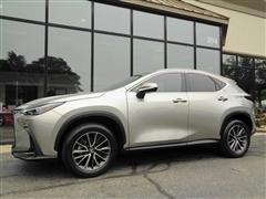 2024 Lexus NX 