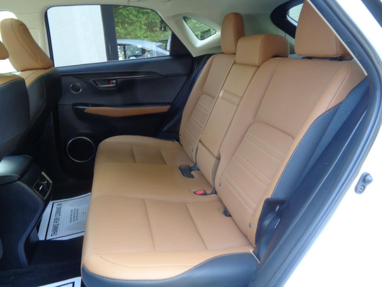 Lexus NX NX 300 AWD 2020