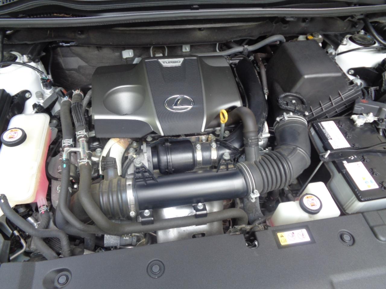Lexus NX NX 300 AWD 2020