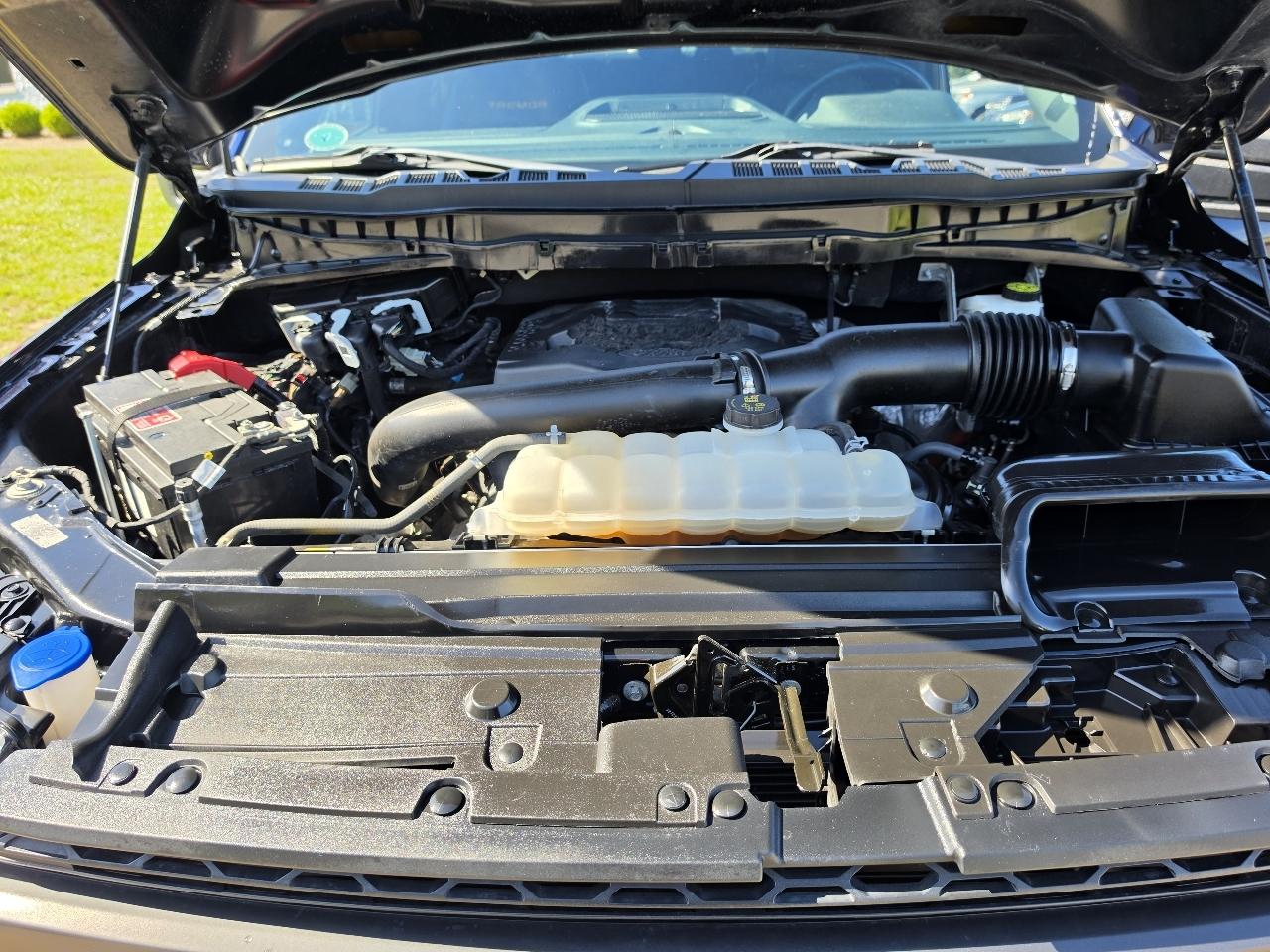 Ford F-150 Tremor 4WD SuperCrew 5.5' Box 2023
