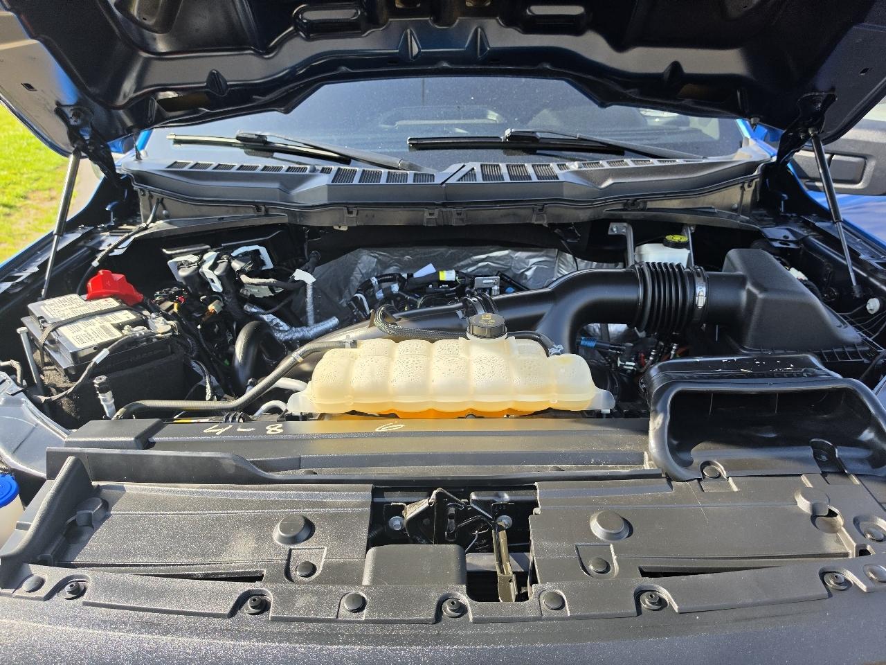 Ford F-150 4WD SuperCrew 139" XL 2021