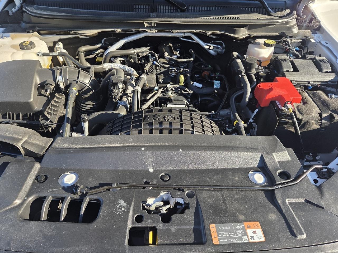 Ford Ranger STX 2023