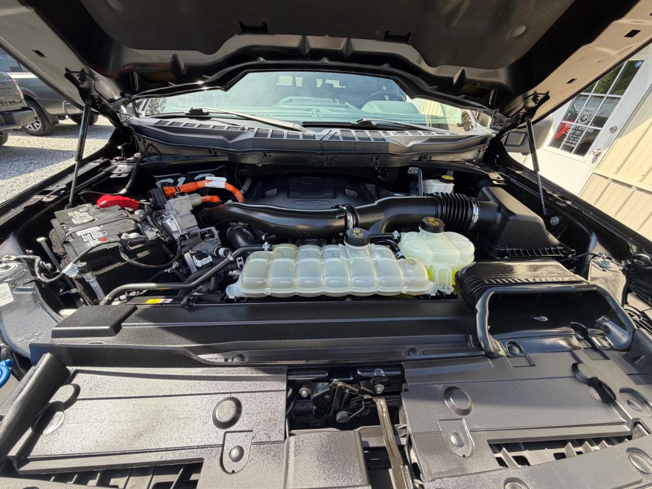 Ford F-150 XLT 4WD SuperCrew 5.5' Box 2022