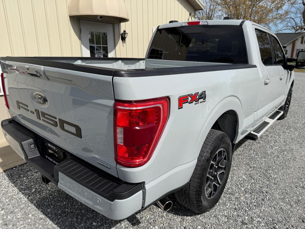 Ford F-150 XLT 4WD SuperCrew 6.5' Box 2023