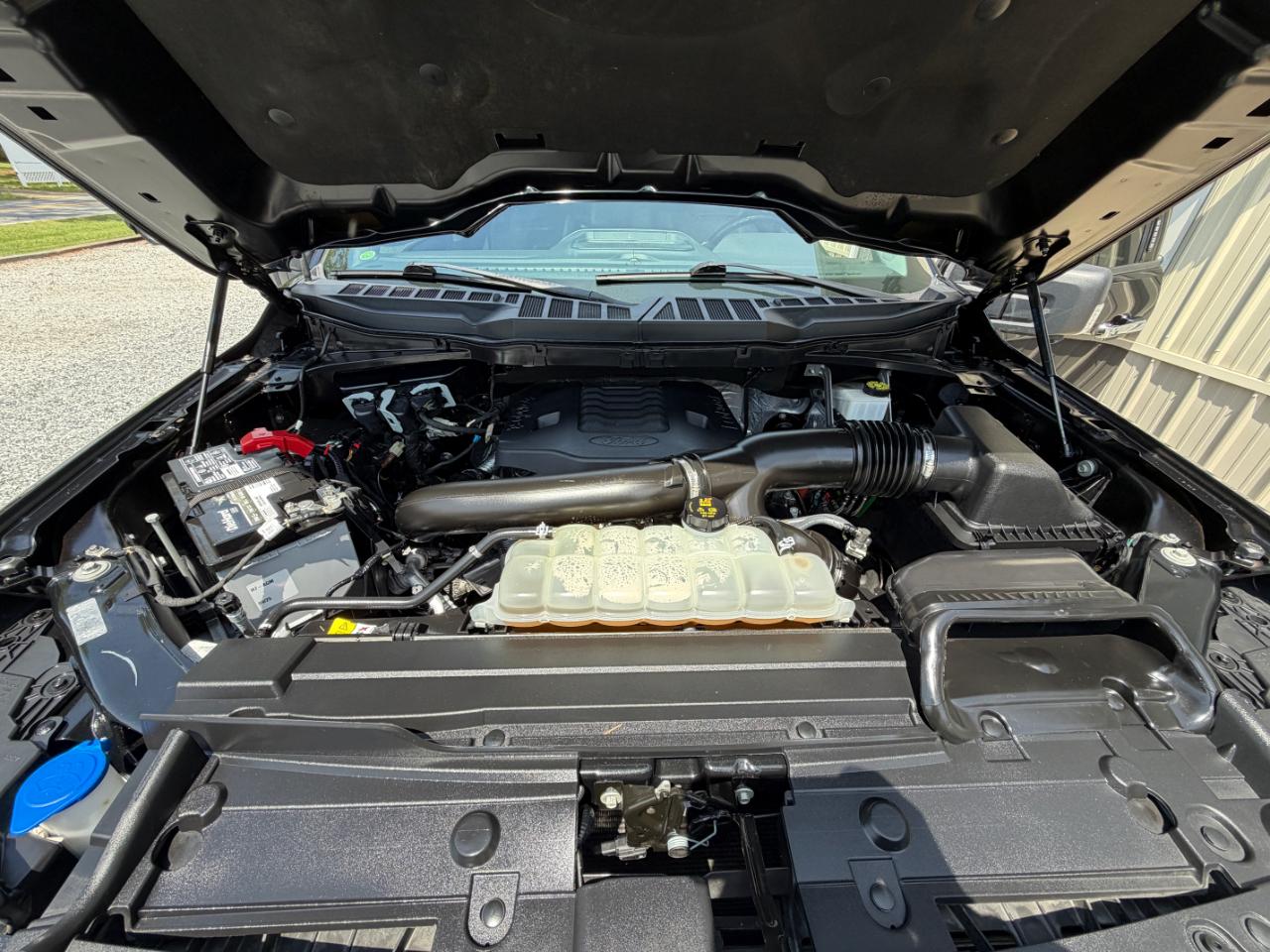 Ford F-150 XLT 4WD SuperCrew 5.5' Box 2021