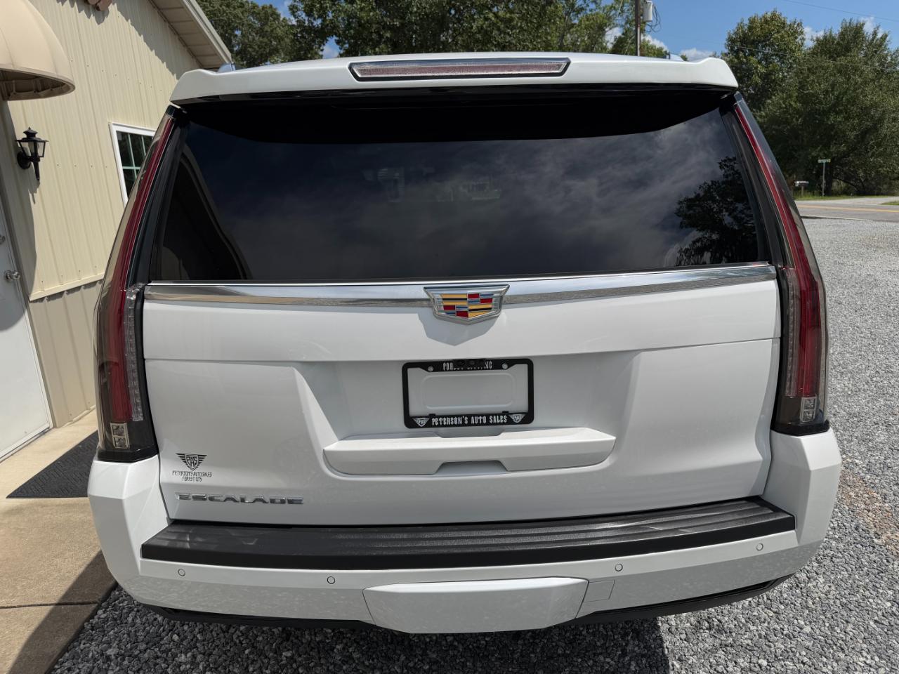 Cadillac Escalade 4WD 4dr Luxury 2019