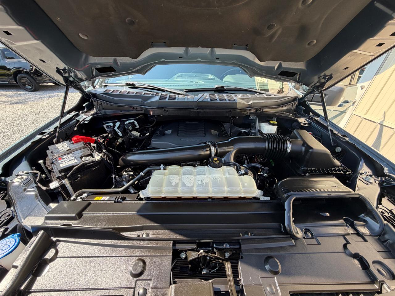 Ford F-150 XLT SuperCrew 5.5-ft. Bed 4WD 2023
