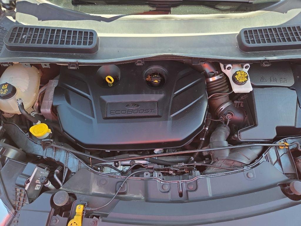 Ford Escape  2019