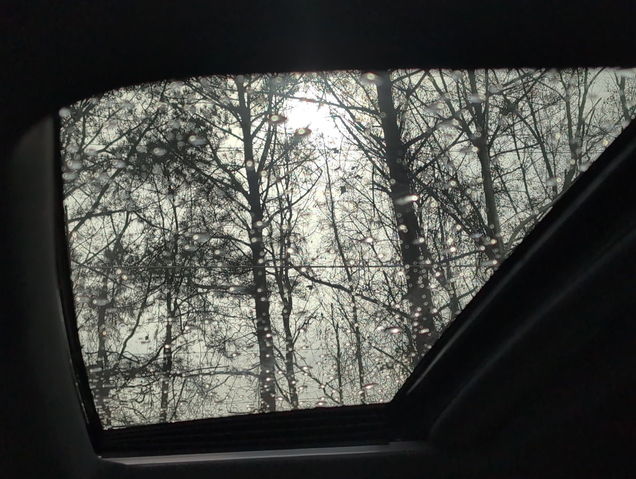 Chevrolet Silverado 1500  2023