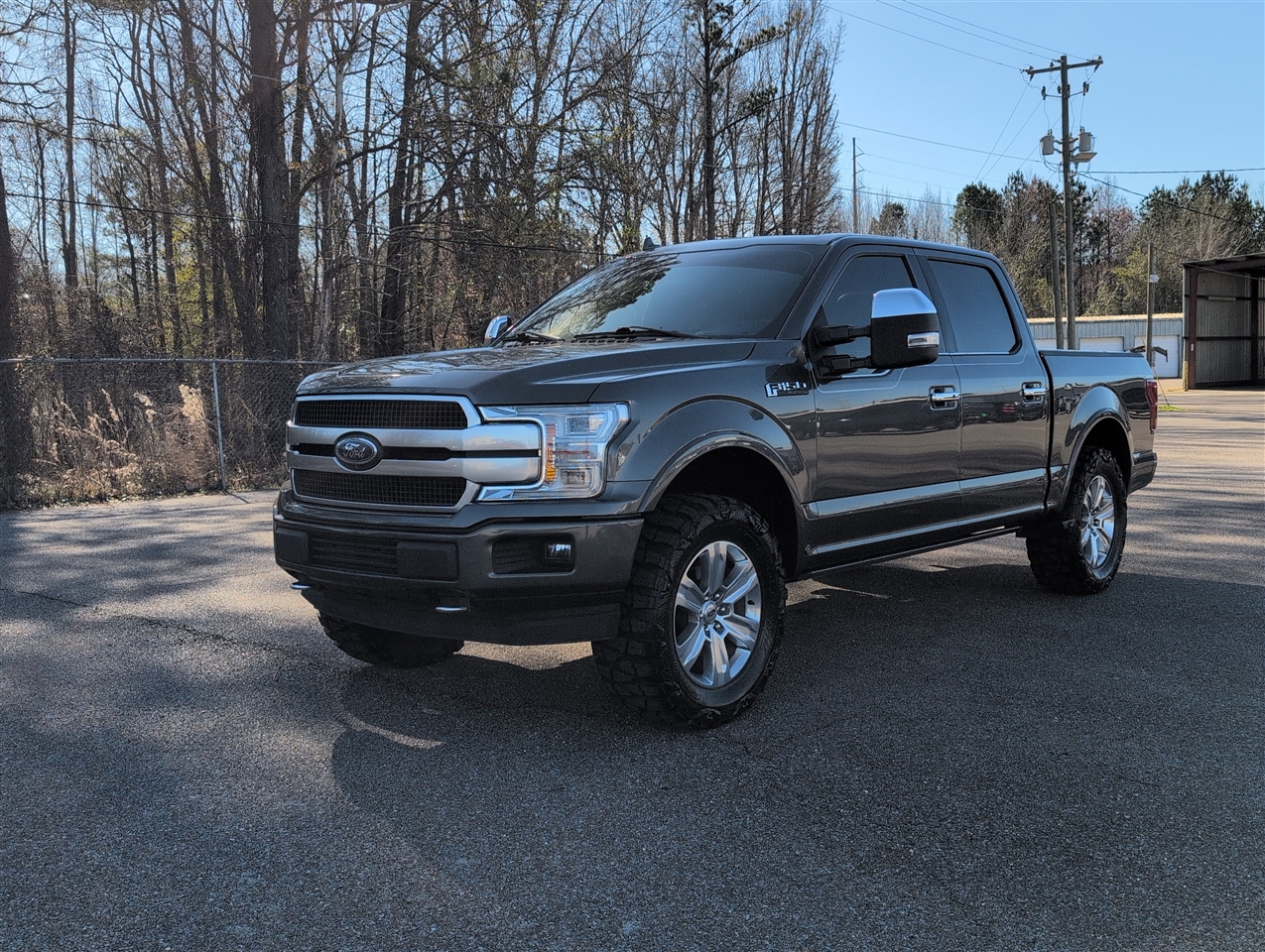 2020 Ford F-150 Platinum's photo