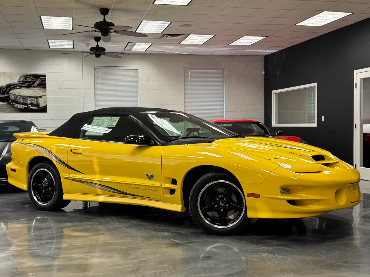 Pontiac Firebird Trans Am  2002
