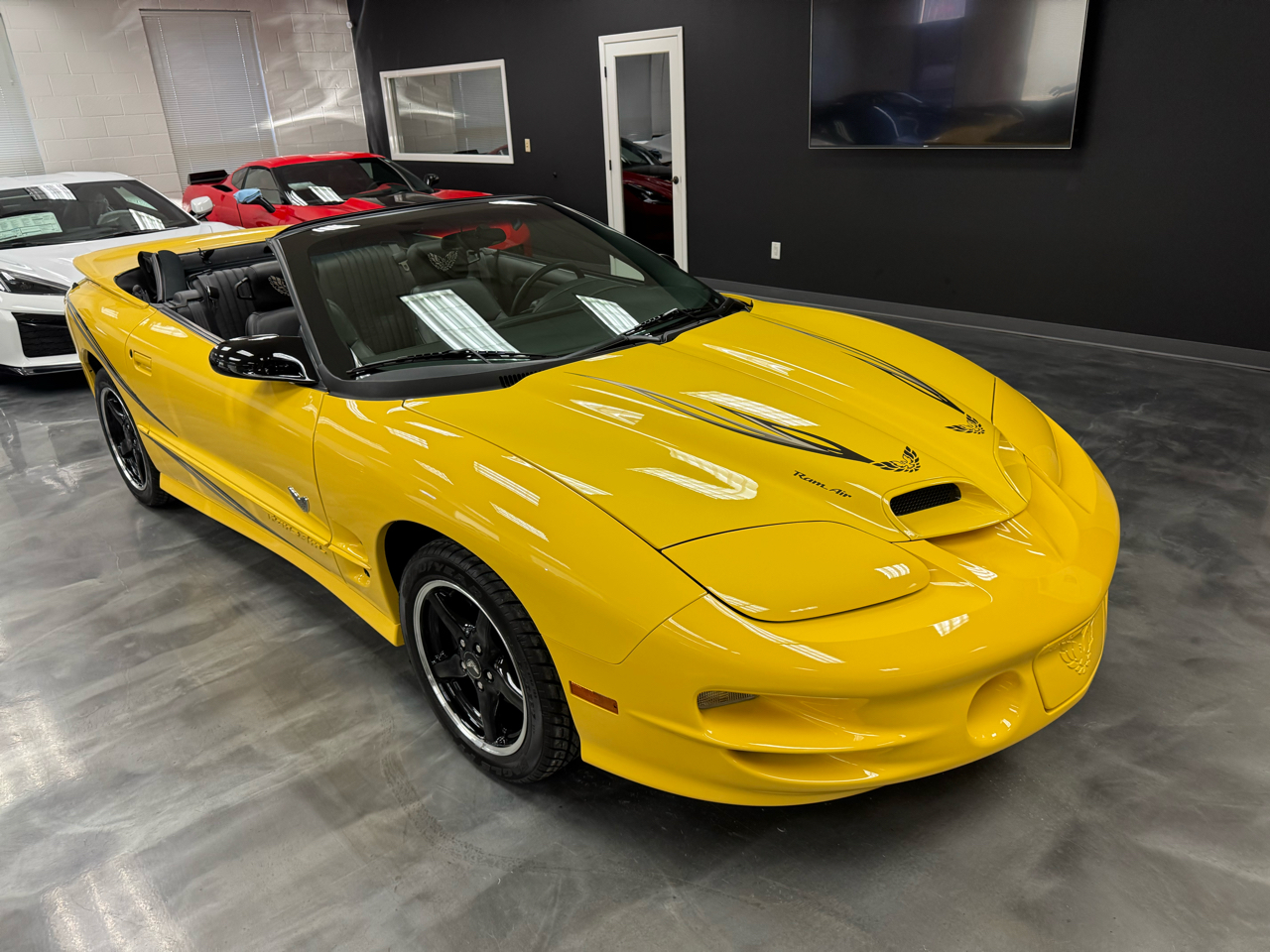 Pontiac Firebird Trans Am  2002